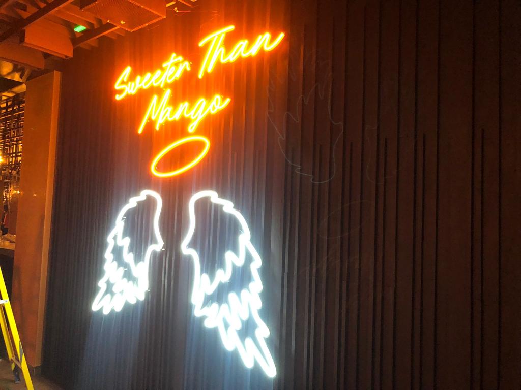 LED Neon Signs by VegaSign